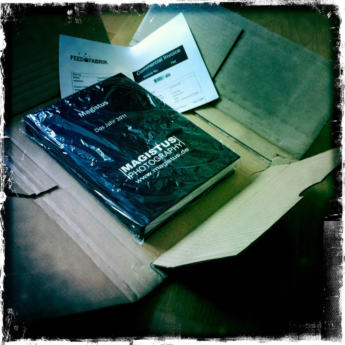 Mein Blog-Buch - Das Jahr 2011