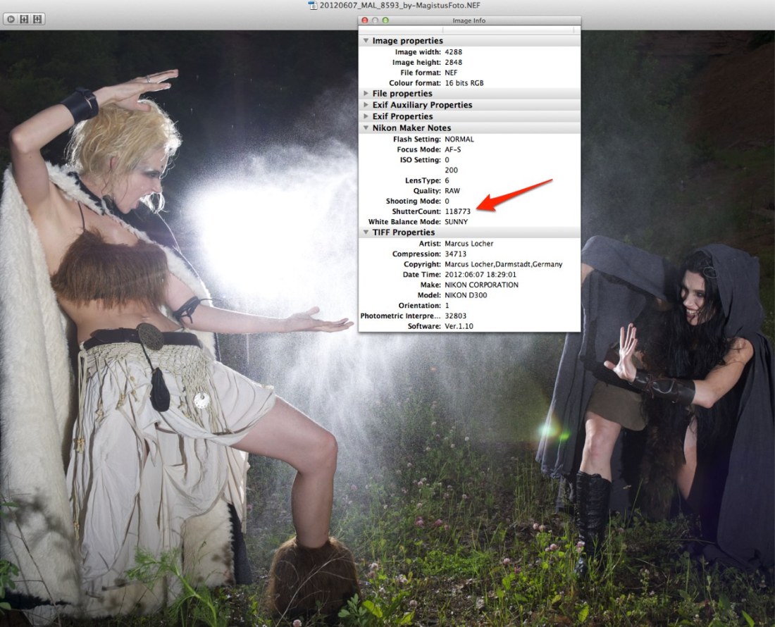 Screenshot - ShutterCount