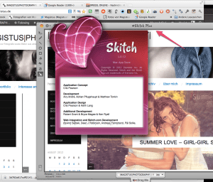Screen Capture mit Sktich