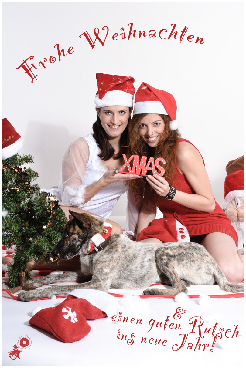 Frohe Weihnachten 2012