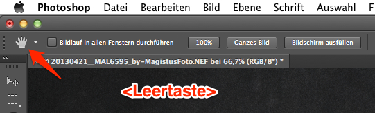 Photoshop - Probleme mit Handwerkzeug u. der Leertaste