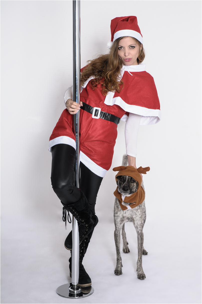 Sexy Santa & the Reindeer - © by Magistus