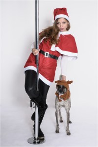 Sexy Santa & the Reindeer - © by Magistus